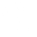 435-4358599_dumbbells-clipart-group-fitness-white-fitness-icon-png-removebg-preview